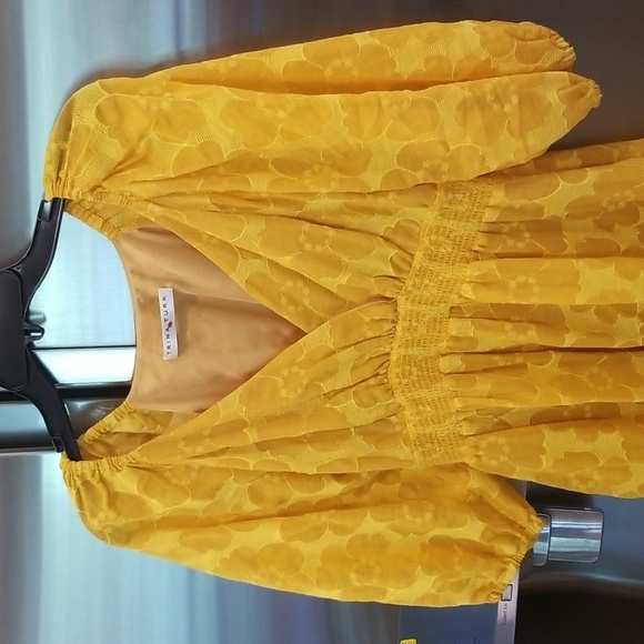 💕TRINA TURK💕 Dawning Dress ~ Walk This Lei Embroidery ~ Saffron NWOT - Picture 3 of 8